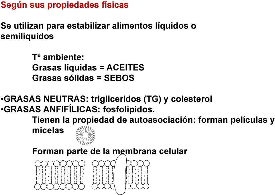 NEUTAS: trigliceridos (TG) y colesterol GASAS ANFIFÍLICAS: fosfolípidos.