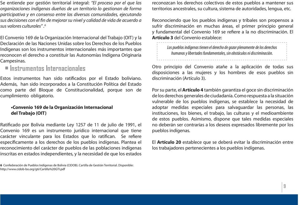 6 El Convenio 169 de la Organización Internacional del Trabajo (OIT) y la Declaración de las Naciones Unidas sobre los Derechos de los Pueblos Indígenas son los instrumentos internacionales más