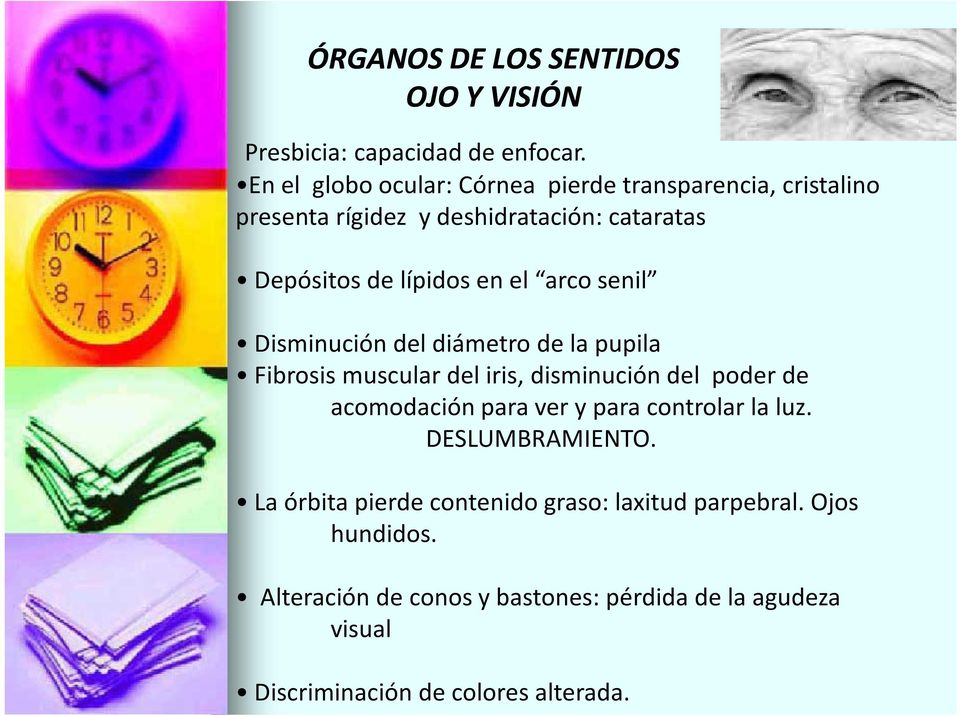 arco senil Disminución del diámetro de la pupila Fibrosis muscular del iris, disminución del poder de acomodación para ver y para