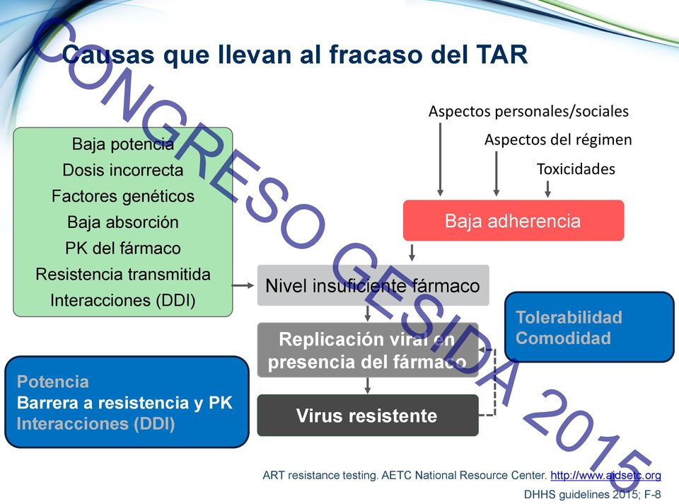 Replicación viral en presencia del fármaco Virus resistente Aspectos personales/sociales Aspectos del régimen Toxicidades Baja