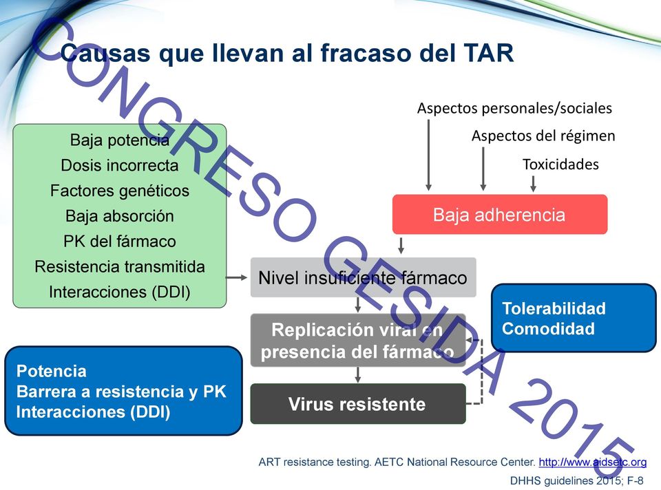 Replicación viral en presencia del fármaco Virus resistente Aspectos personales/sociales Aspectos del régimen Toxicidades Baja