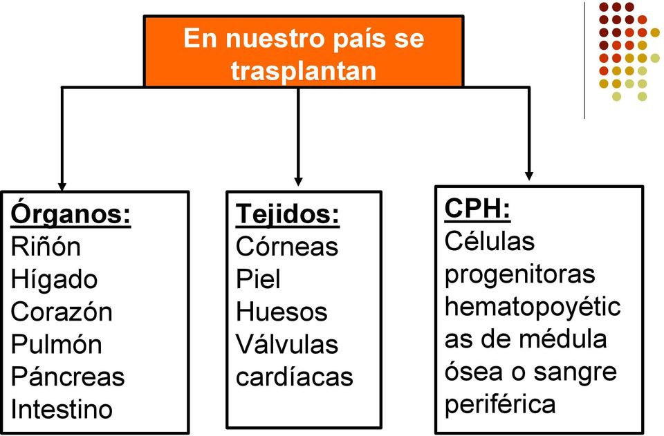 Piel Huesos Válvulas cardíacas CPH: Células