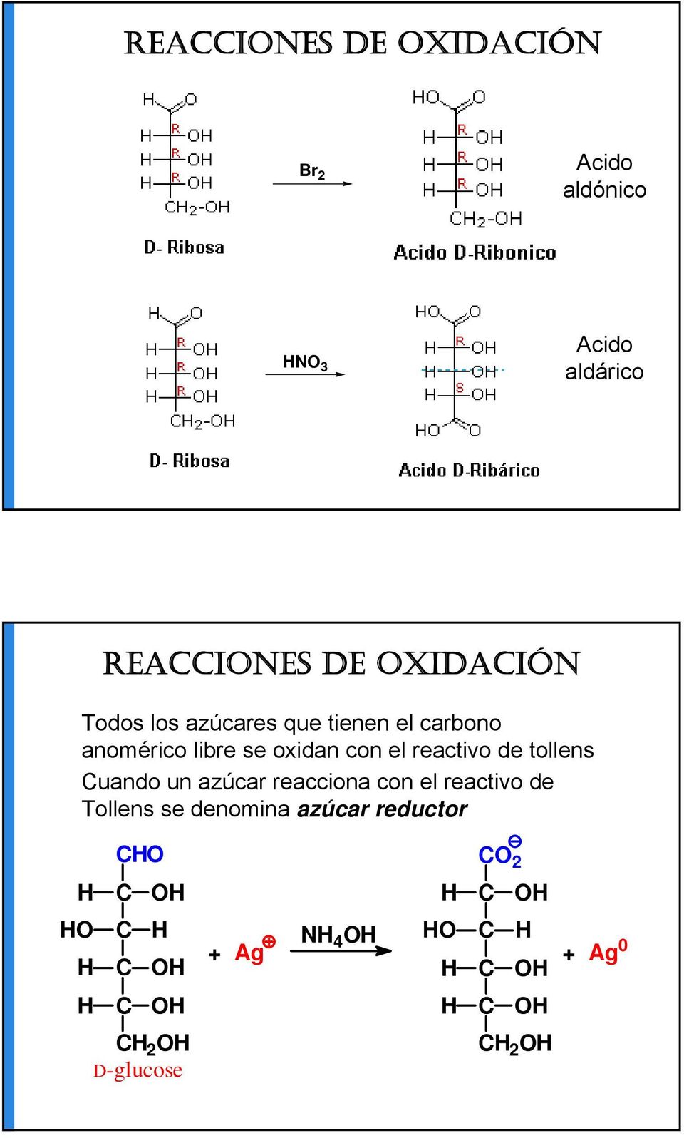 oxidan con el reactivo de tollens uando un azúcar reacciona con el