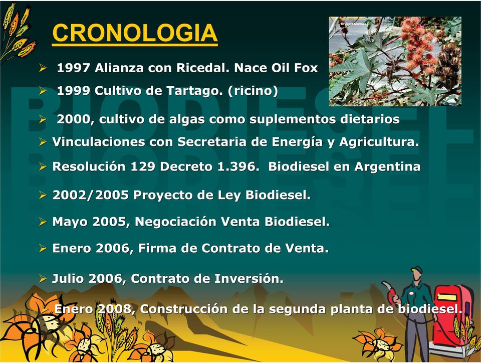 Resolución n 129 Decreto 1.396. Biodiesel en Argentina 2002/2005 Proyecto de Ley Biodiesel.