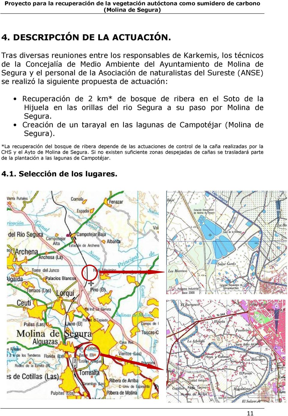 Sureste (ANSE) se realizó la siguiente propuesta de actuación: Recuperación de 2 km* de bosque de ribera en el Soto de la Hijuela en las orillas del rio Segura a su paso por Molina de Segura.