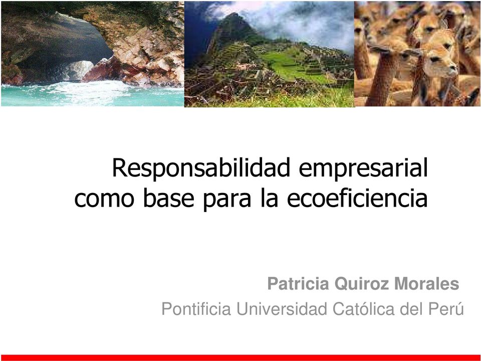 ecoeficiencia Patricia Quiroz