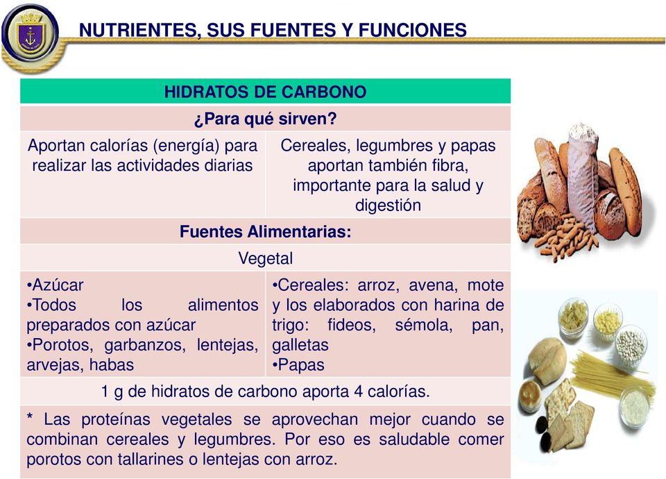 Fuentes Alimentarias: Vegetal Cereales, legumbres y papas aportan también fibra, importante para la salud y digestión Cereales: arroz, avena, mote y los elaborados