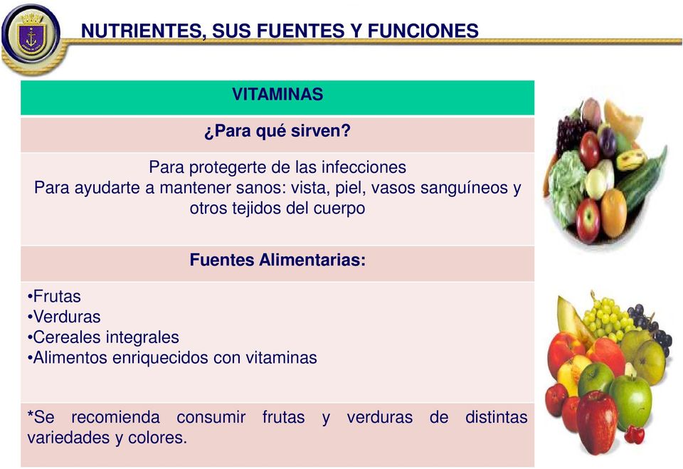 sanguíneos y otros tejidos del cuerpo Fuentes Alimentarias: Frutas Verduras Cereales