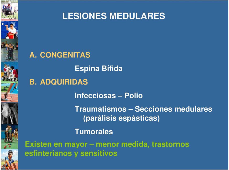 Traumatismos Secciones medulares (parálisis