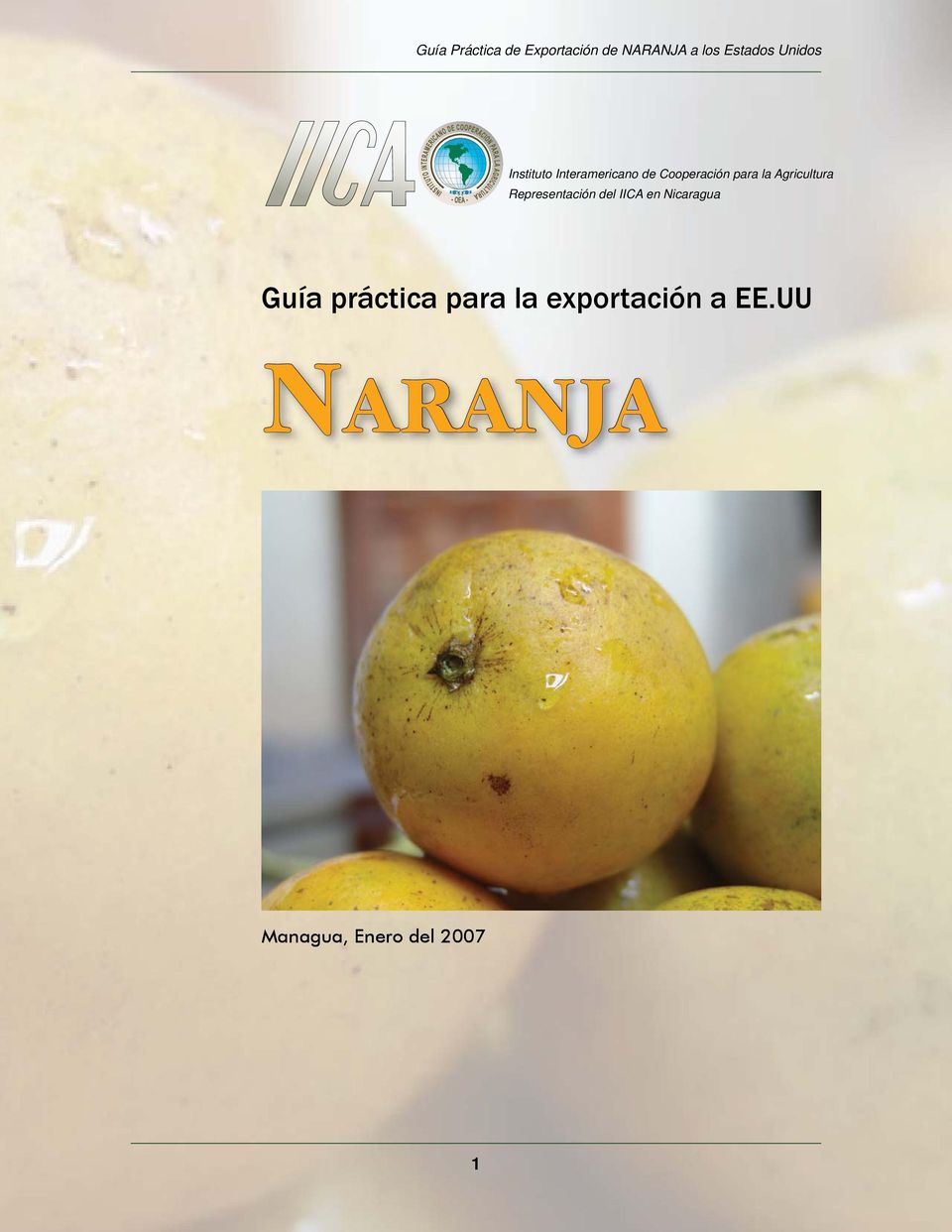 IICA en Nicaragua Guía práctica para la