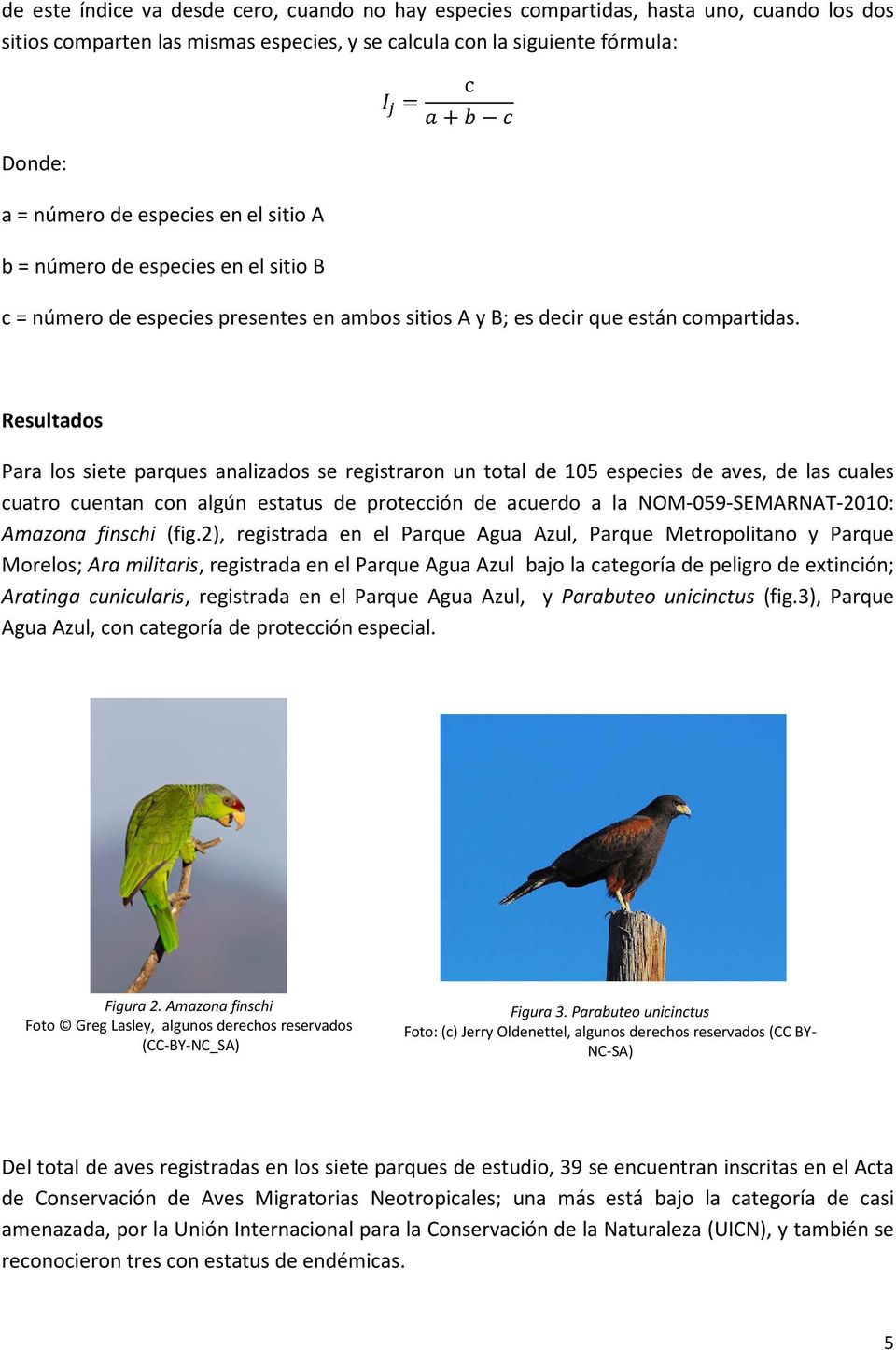 Resultados Para los siete parques analizados se registraron un total de 15 especies de aves, de las cuales cuatro cuentan con algún estatus de protección de acuerdo a la NOM-59-SEMARNAT-21: Amazona