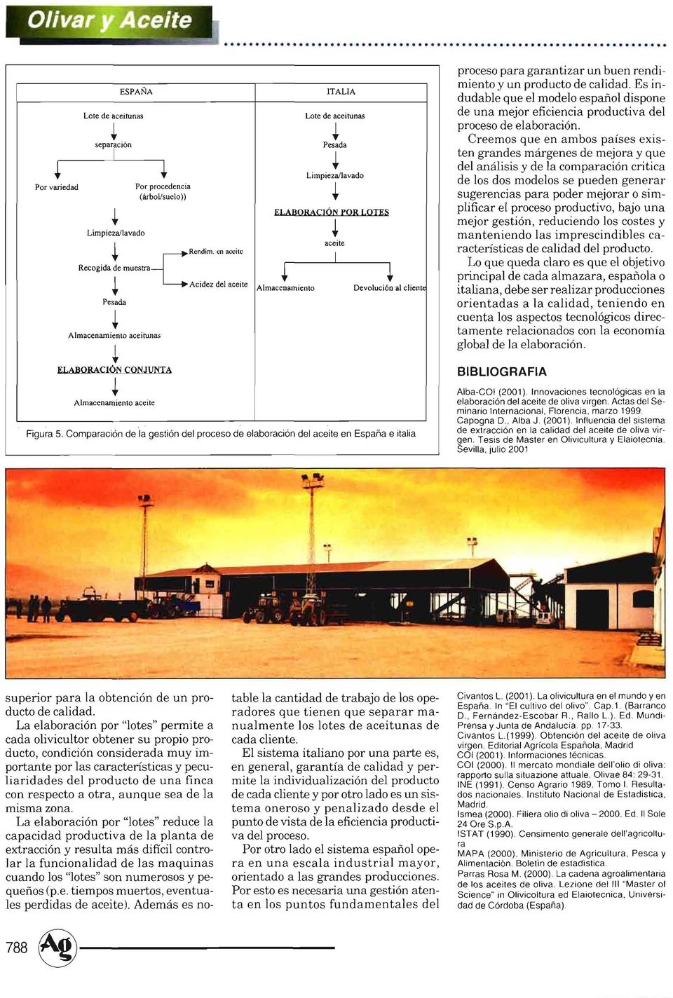 Comparación de la gestión del proceso de elaboración del aceite en España e italia proceso para garantizar n ben rendimiento y n prodcto de calidad.