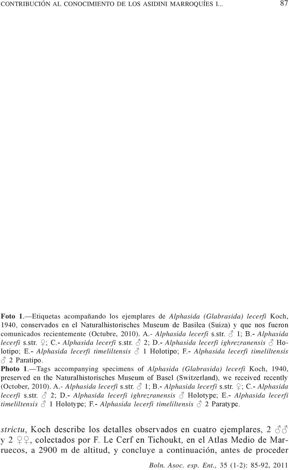 2010). A.- Alphasida lecerfi s.str. 1; B.- Alphasida lecerfi s.str. ; C.- Alphasida lecerfi s.str. 2; D.- Alphasida lecerfi ighrezranensis Holotipo; E.- Alphasida lecerfi timeliltensis 1 Holotipo; F.