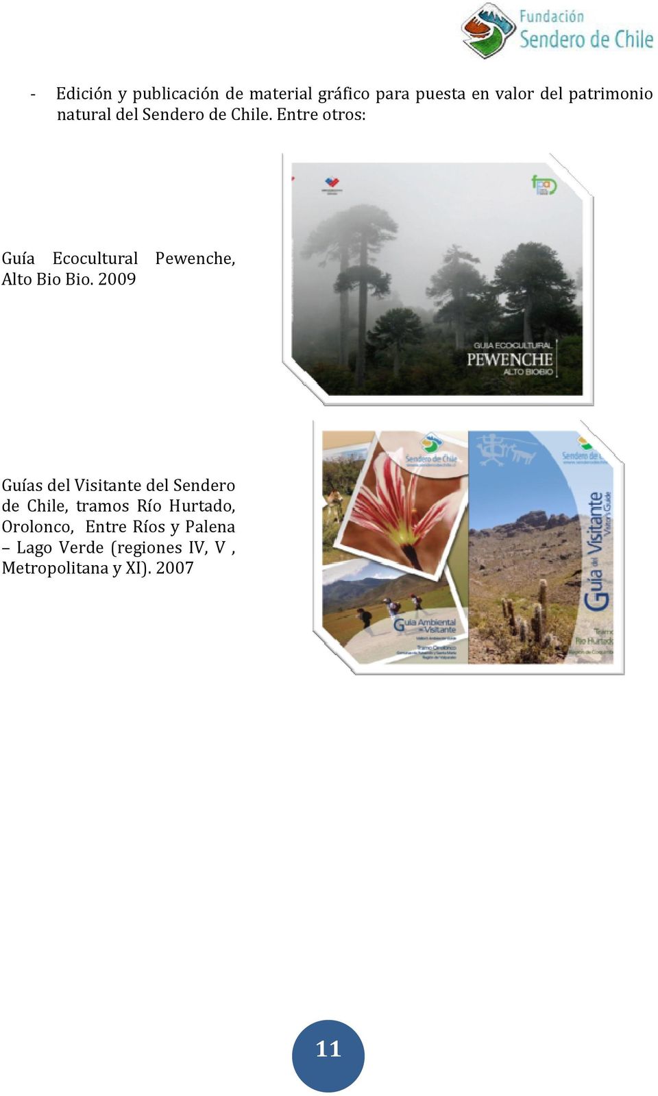 Entre otros: Guía Ecocultural Pewenche, Alto Bio Bio.