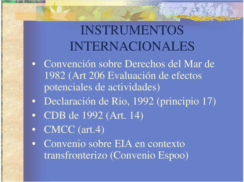 Declaración de Rio, 1992 (principio 17) CDB de 1992 (Art.