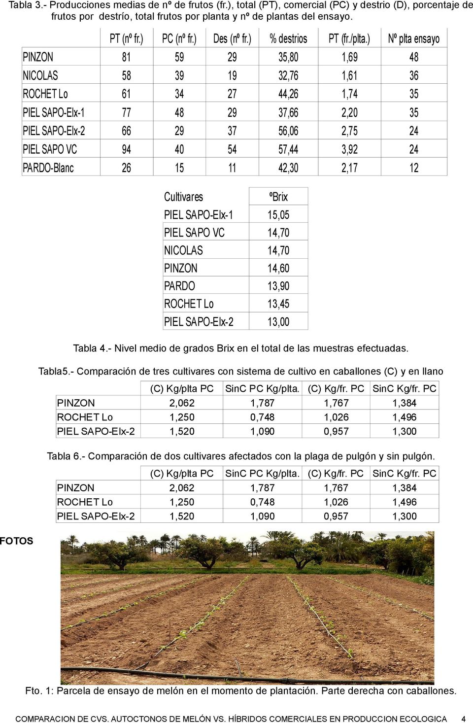 ) 29 19 27 29 7 54 11 Cultivares PIEL SAPO-Elx-1 PIEL SAPO VC NICOLAS PARDO % destrios 5,80 2,76 44,26 7,66 56,06 57,44 42,0 PT (fr./plta.