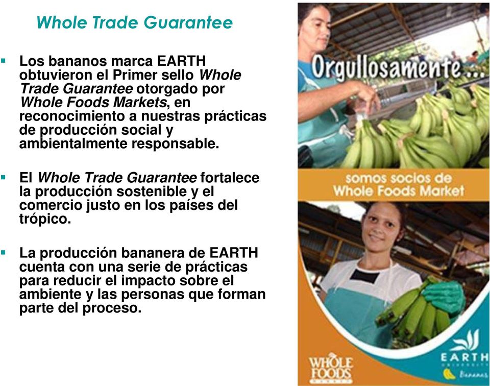 El Whole Trade Guarantee fortalece la producción sostenible y el comercio justo en los países del trópico.