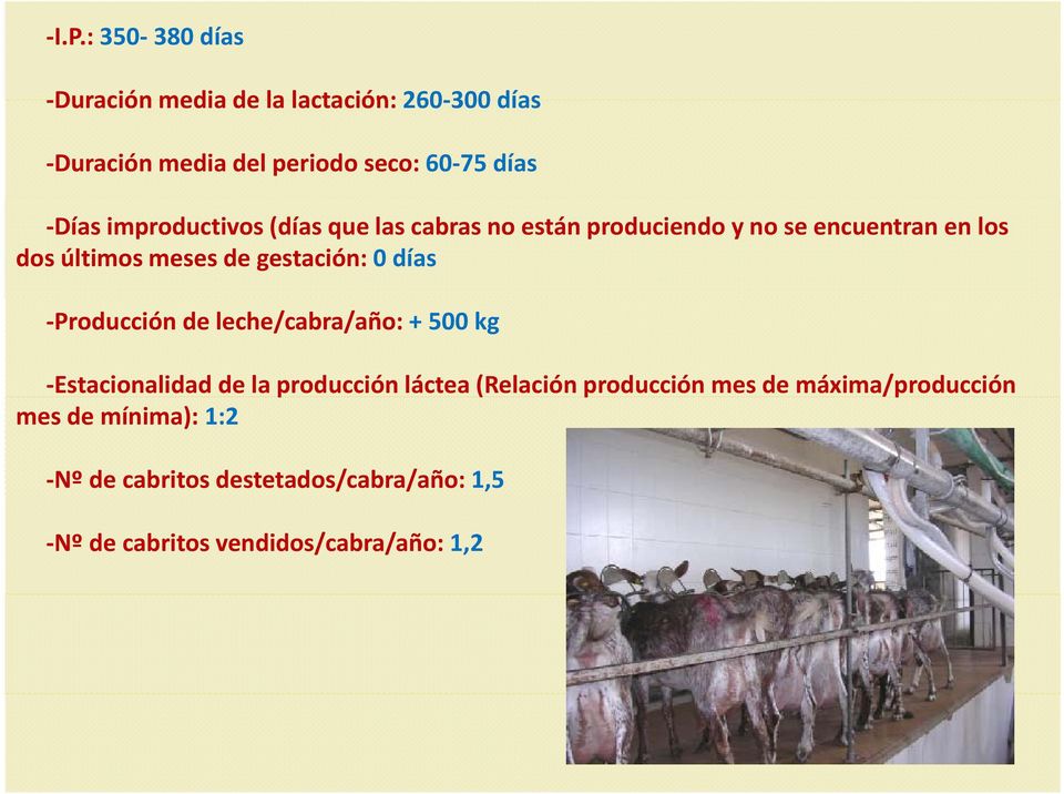 0 días Producción de leche/cabra/año: + 500 kg Estacionalidad de la producción láctea (Relación producción mes de