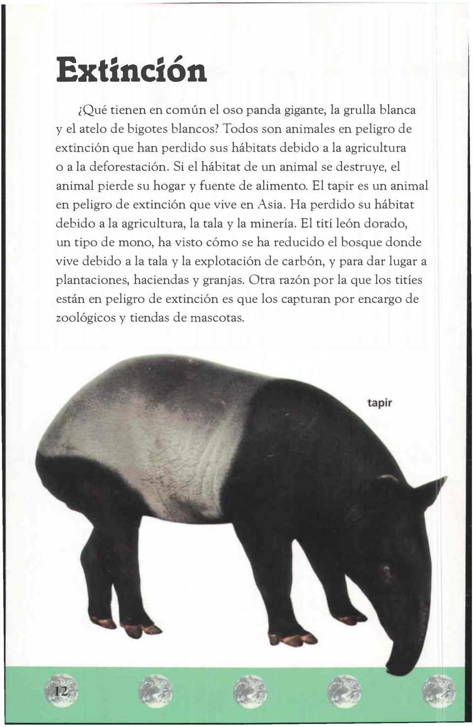 Si el hábitat de un animal se destruye, el animal pierde su hogar y fuente de alimento. El tapir es un animal en peligro de extinción que vive en Asia.