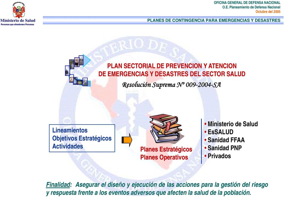 EsSALUD Sanidad FFAA Sanidad PNP Privados Finalidad: Asegurar el diseño y ejecución de las acciones