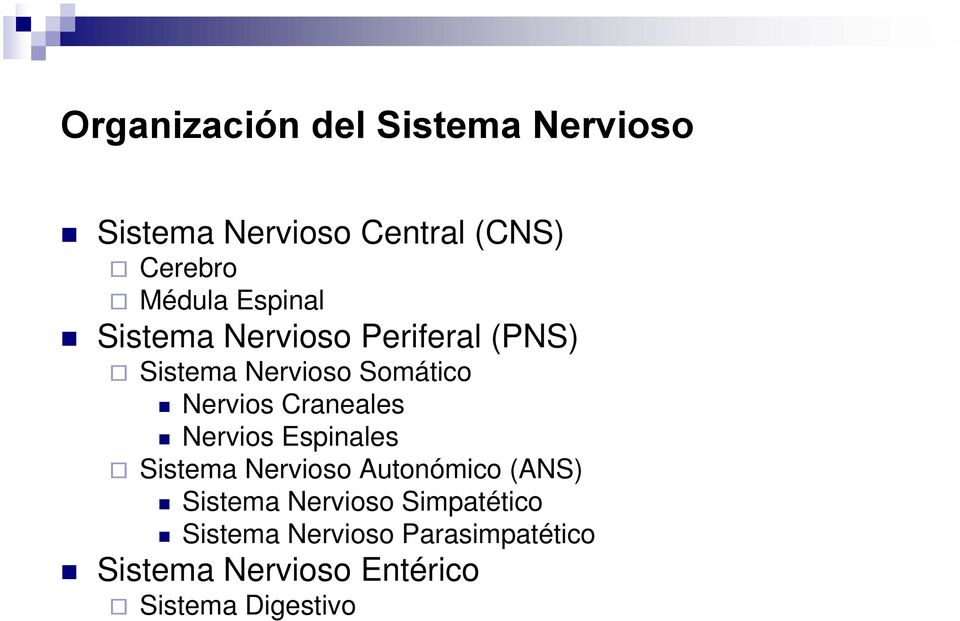 Craneales Nervios Espinales Sistema Nervioso Autonómico (ANS) Sistema Nervioso