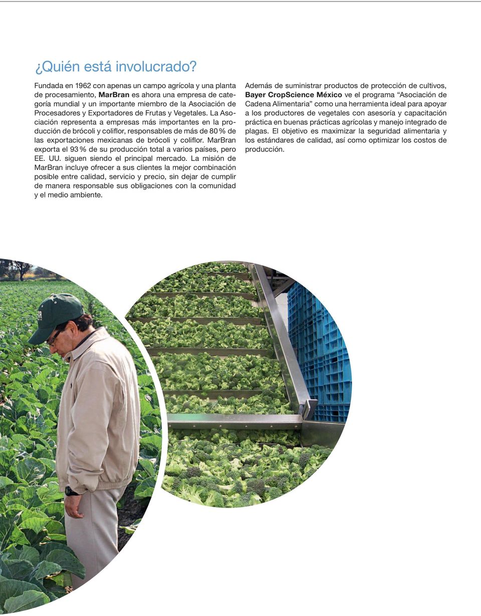 de Frutas y Vegetales. La Asociación representa a empresas más importantes en la producción de brócoli y coliflor, responsables de más de 80 % de las exportaciones mexicanas de brócoli y coliflor.