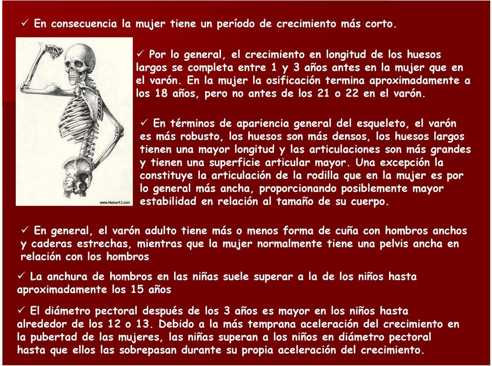 En términos de apariencia general del esqueleto, el varón es más robusto, los huesos son más densos, los huesos largos tienen una mayor longitud y las articulaciones son más grandes y tienen una