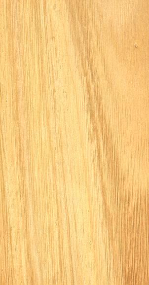 CASTAÑO Científica: Castanea sativa Mill Española: Castaño 0,59 kg/m 3 madera semiligera 0,39 % madera estable 1,54% sin tendencia a atejar 2,5 madera semiblanda 710 kg/cm 2 100.