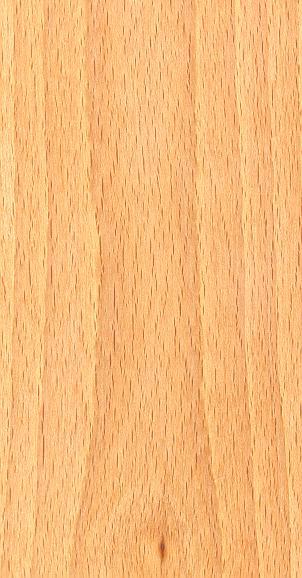 HAYA Científica: Fagus sylvatica L. Española: Haya europea 0,73 kg/m 3 madera pesada 0,51 % madera nerviosa 2,05% con tendencia a atejar 4,0 madera semidura 1100 kg/cm 2 145.