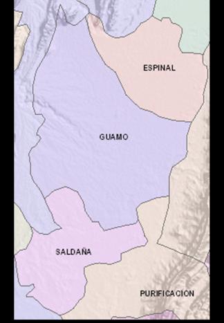 7. METODOLOGÍA 7.1 Descripción de la zona de estudio El área de estudio se encuentra en el departamento del Tolima entre los municipios Espinal, Guamo, Saldaña y Purificación.