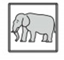 EJEMPLO DE LA ACTIVIDAD FICHA EJEMPLO Escribe un nombre con la palabra representada en la imagen Elefante E-le-fan-te