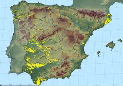 El corcho en España *Producción en España