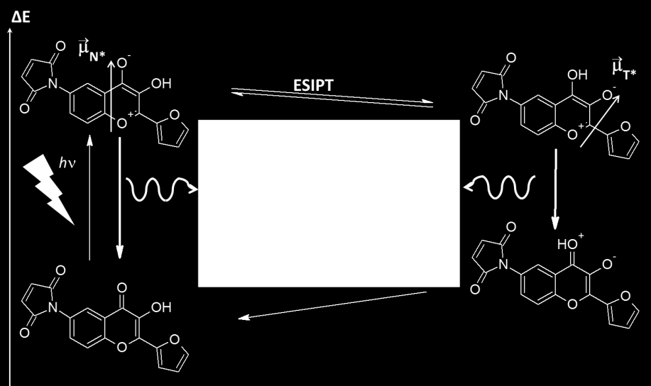 Transferencia Intramolecular de Protones en el Estado Excitado (ESIPT, Excited State Intramolecular Proton Transfer) entre las formas N* y T*.