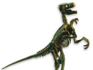 : 000627 Velociraptor 5,70 6,90 con el 21% IVA incluido Maqueta del esqueleto fósil de un velociraptor Velociraptor Monta el esqueleto del ágil
