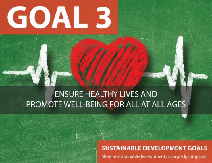 Sustainable Development Goals 2016-2030 Goal 1 Goal 2 Goal 3 Goal 4 Goal 5 Goal 6 Goal 7 Goal 8 Goal 9 Goal 10 Goal 11 Goal 12 Goal 13 Goal 14 Goal 15 Goal 16 Goal 17 End poverty in all its forms