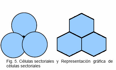 III RADIACIÓN Y MICROONDAS EMITIDAS POR EL CELULAR Figura 3. 4 Células sectoriales y su representación gráfica.