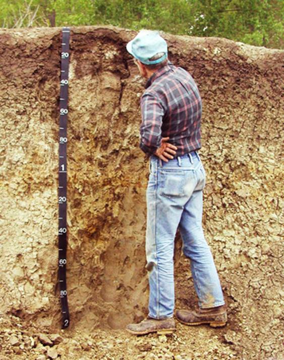 Composicion de suelos : Los suelos están compuestos de agregados de partículas sólidas (fragmentos de roca y minerales) y en algunos casos, de materia orgánica.