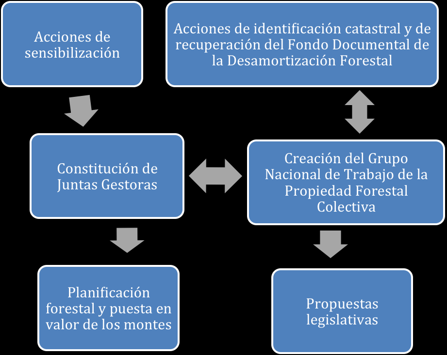 7/10 Autonómicas, Propiedad Privada, Universidad, Notarios, representantes de Hacienda y Catastro, etc.