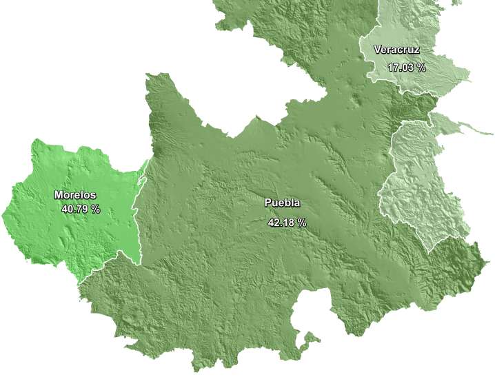 Distribución porcentual de la superficie ocupada por caña de azúcar en la Región Centro por entidad