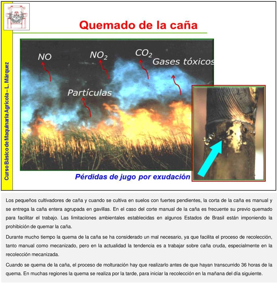 Las limitaciones ambientales establecidas en algunos Estados de Brasil están imponiendo la prohibición de quemar la caña.