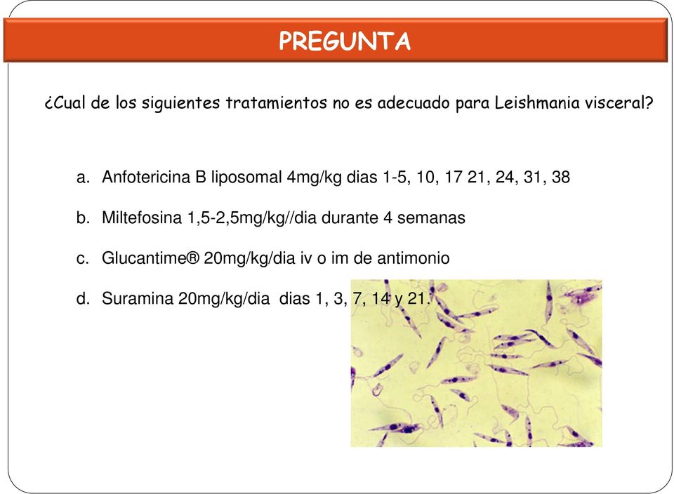 Anfotericina B liposomal 4mg/kg dias 1-5, 10, 17 21, 24, 31, 38 b.