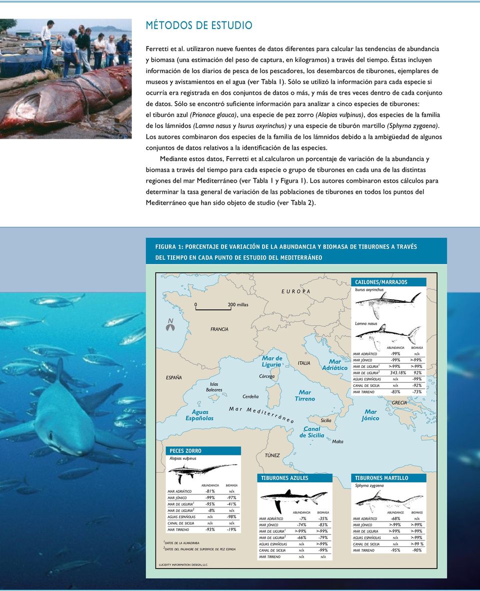 Éstas incluyen información de los diarios de pesca de los pescadores, los desembarcos de tiburones, ejemplares de museos y avistamientos en el agua (ver Tabla 1).
