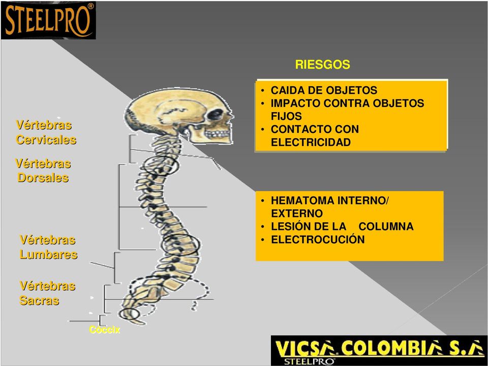 Vértebras Dorsales Vértebras Lumbares HEMATOMA INTERNO/