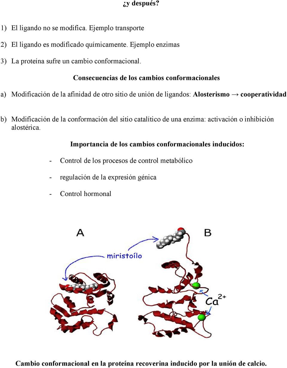 Consecuencias de los cambios conformacionales a) Modificación de la afinidad de otro sitio de unión de ligandos: Alosterismo cooperatividad b) Modificación de la