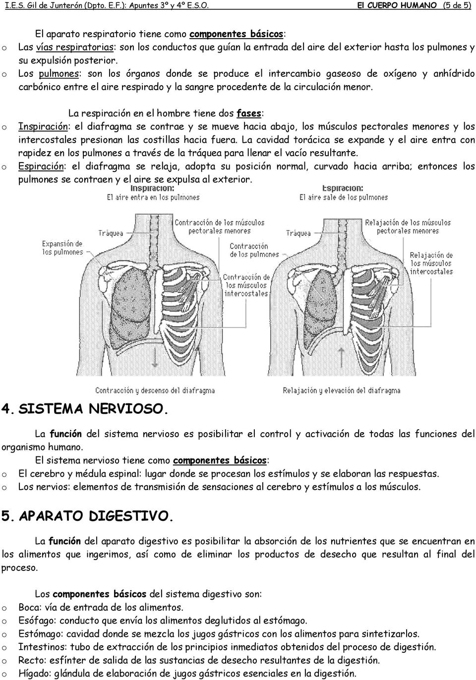 Ls pulmnes: sn ls órgans dnde se prduce el intercambi gases de xígen y anhídrid carbónic entre el aire respirad y la sangre prcedente de la circulación menr.