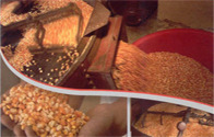 UNIVERSIDAD NACIONAL DEL SANTA Aireación de los granos La aireación es una técnica aplicable para cualquier estructura de almacenamiento a granel.