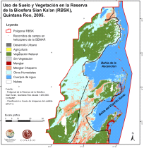 2005 Clasificación Interdependiente en retrospectiva Validación de campo Mapa de manglares (2005) 1:50 000 Área de estudio Buffer 5 km Mapa de coberturas y uso del suelo (2005) 1:50 000 Mapa de