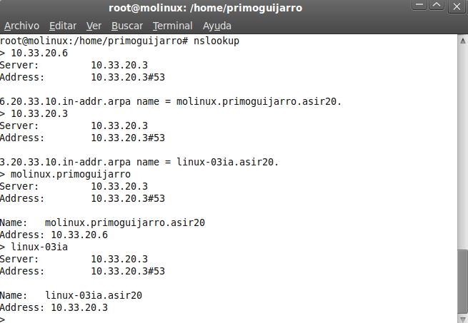 Configuramos el cliente Molinux, tanto el archivo de resolución de nombres /etc/resolv.