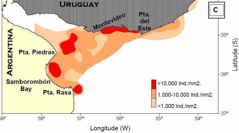Latitud (S) CONSORCIO SEINCO-TAHAL Longitud (W) Figura 4-13: Distribución espacial de los juveniles de corvina rubia en el estuario del