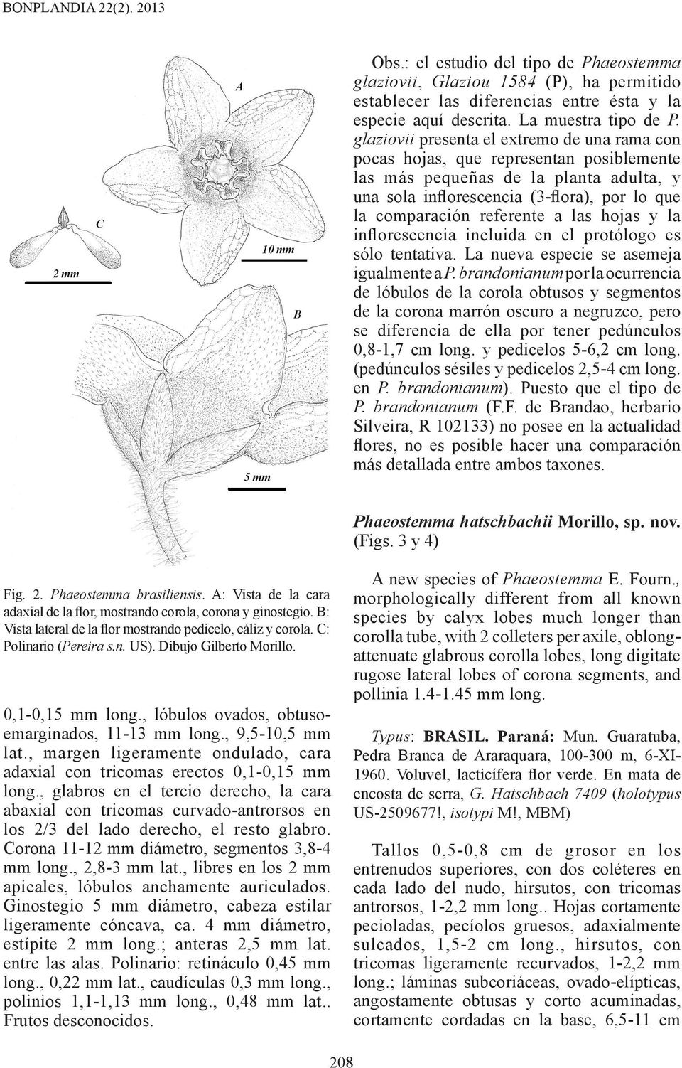 a las hojas y la inflorescencia incluida en el protólogo es sólo tentativa. La nueva especie se asemeja igualmente a P.